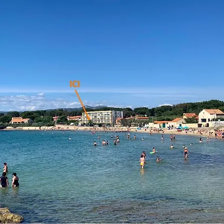 T3 Les Pieds Dans L'eau, Plage Du Cros, Vue Mer