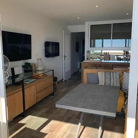 Appartement T3 Les Pieds Dans L'eau, Plage Du Cros, Vue Mer *