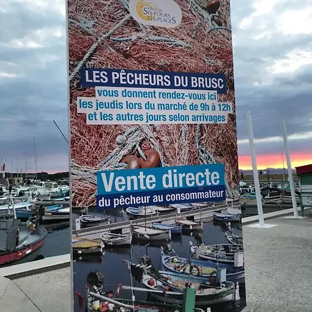 T3 Les Pieds Dans L'eau, Plage Du Cros, Vue Mer