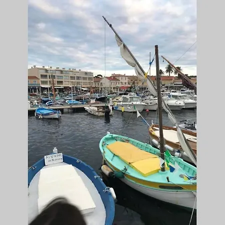 Apartment T3 Les Pieds Dans L'eau, Plage Du Cros, Vue Mer Six-Fours-les-Plages